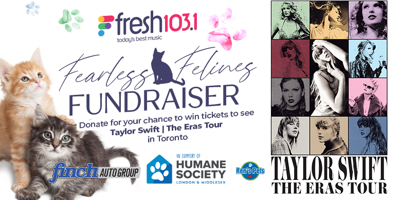 Fresh’s Fearless Felines Fundraiser